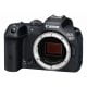 Canon Eos r7 image
