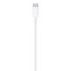 Lightning USB-C