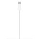 MagSafe charger cable