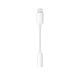 Lightning adapter 3.5