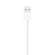 Lightning usb usb