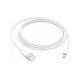 Lightning usb 1