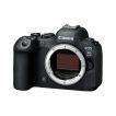 EOS R6 Mark II image