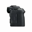 EOS R6 Mark II right