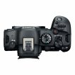 EOS R6 Mark II top