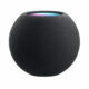 HomePod mini rymdgrå