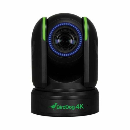 Birddog P4K front