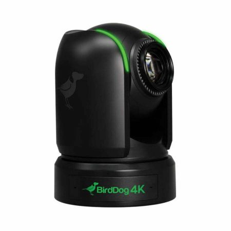 Birddog P4K image