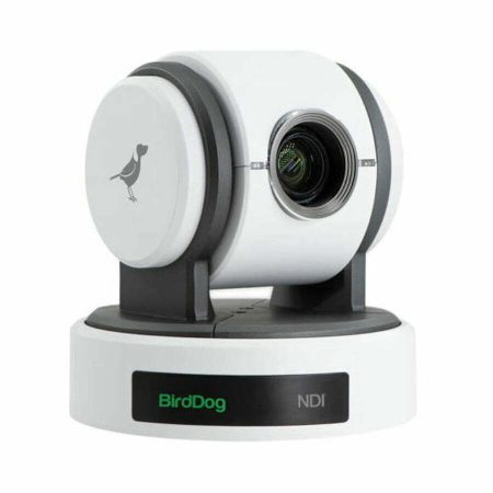 P100 image