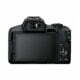 EOS R50 rear