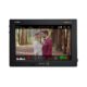 Video Assist 12G 7
