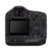 Canon EOS R1 rear